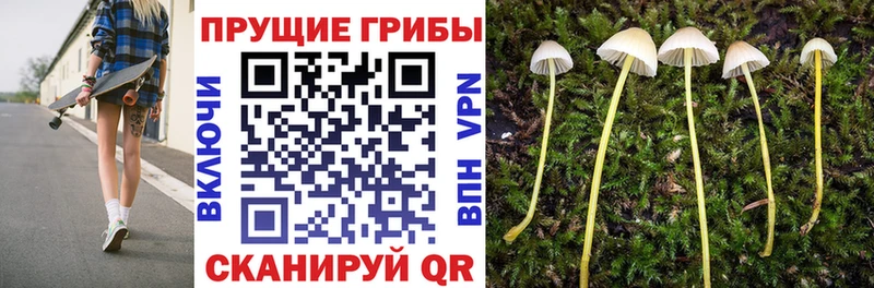 Галлюциногенные грибы мицелий Ярославль